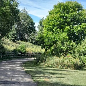 Penny adicionaram uma foto da sua compra