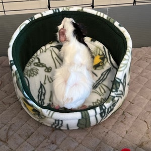 Miya added a photo of their purchase