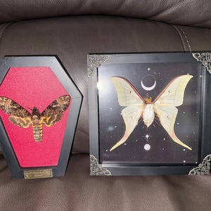 Katie added a photo of their purchase