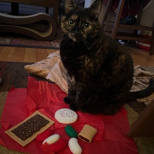 Julie added a photo of their purchase