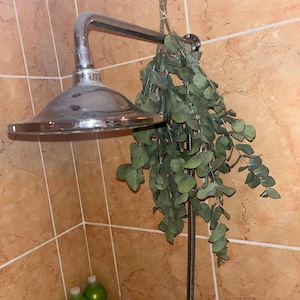 Mel ha añadido una foto de su compra