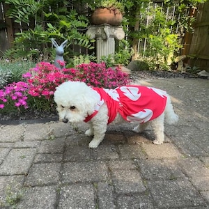 Izabella added a photo of their purchase