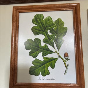 Andreita さんが購入した商品の写真を追加しました