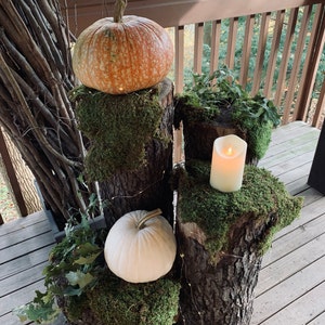 Bree added a photo of their purchase