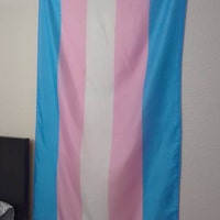 Polysexual Pride Flag Large Premium Quality Poly Flag 5ft X - Etsy UK