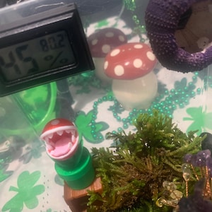 Melissa added a photo of their purchase