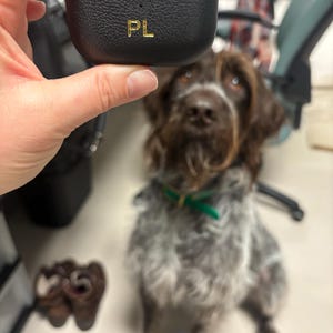 Pascale added a photo of their purchase