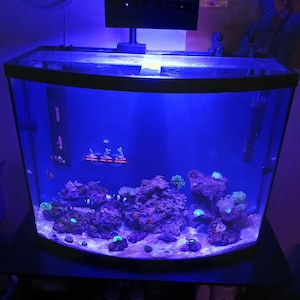 Joey added a photo of their purchase