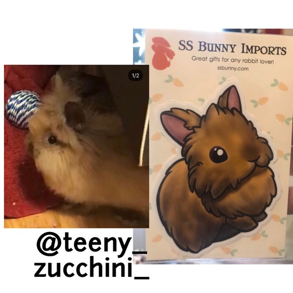 Orange Lionhead Rabbit Sticker; Cute Lionhead Bunny Sticker, Waterproof ...