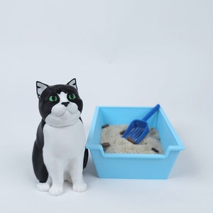 Cat Litter Box With Sand & Accessories: Mini Desktop Zen Garden