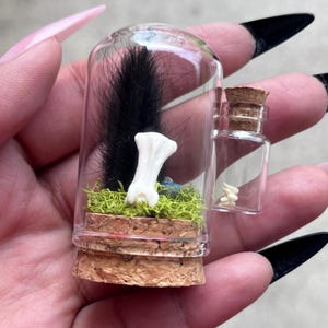 Audicy added a photo of their purchase