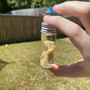 toby added a photo of their purchase