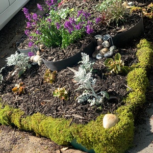 Kate added a photo of their purchase