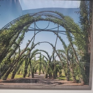 Aenikin added a photo of their purchase