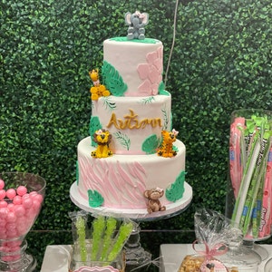 Ashanti Franklin added a photo of their purchase