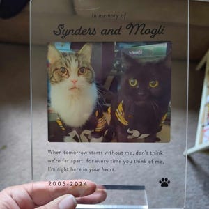Stacey added a photo of their purchase