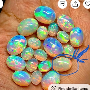 Debbie added a photo of their purchase