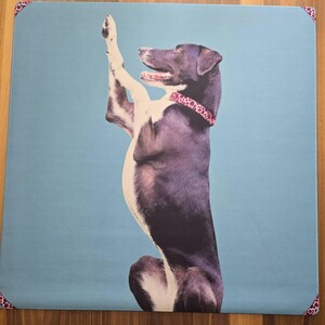 Janice added a photo of their purchase