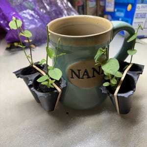 Kay added a photo of their purchase