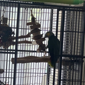sophie ha aggiunto una foto del proprio acquisto