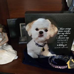 Kari added a photo of their purchase