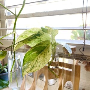 Danielle Houde added a photo of their purchase