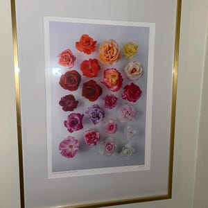 Lucia added a photo of their purchase