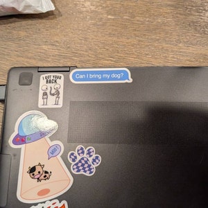 Lyn added a photo of their purchase