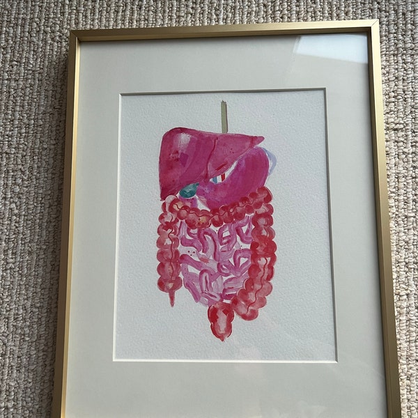 Abdominal Anatomy, Gastrointestinal Art, Gastroenterology Art, General ...