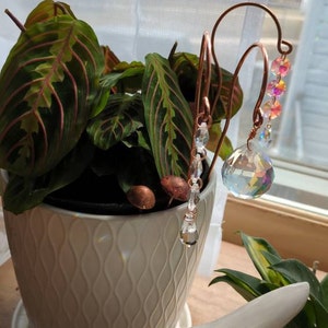 Juliana added a photo of their purchase