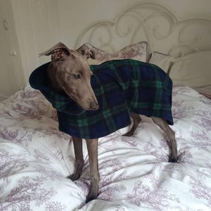 Charlotte added a photo of their purchase