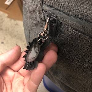 James added a photo of their purchase