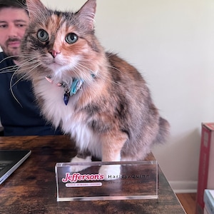 Katie ha añadido una foto de su compra