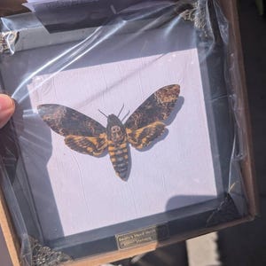 Jackson ha añadido una foto de su compra