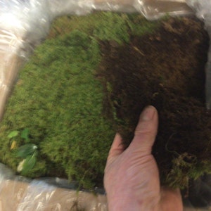 Thomas added a photo of their purchase