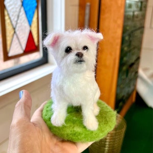 Meredith added a photo of their purchase