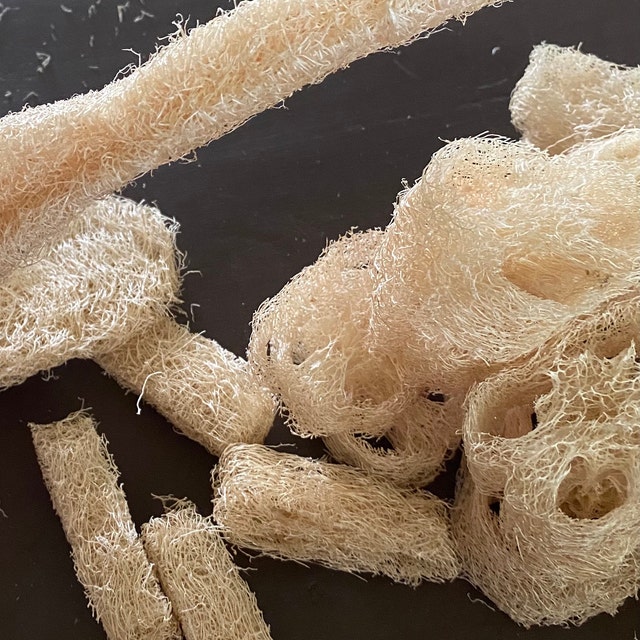 Natural loofah Wholesale loofah Organic loofah by OurForestFarm