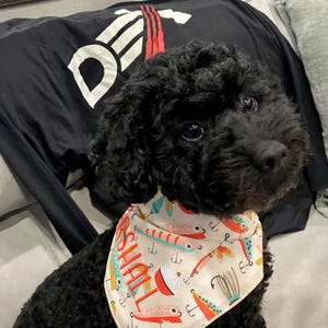 Courtney ha añadido una foto de su compra