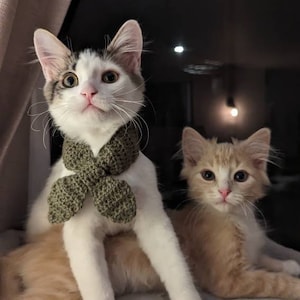 Arianne added a photo of their purchase
