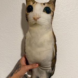 Maria added a photo of their purchase