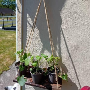 William added a photo of their purchase