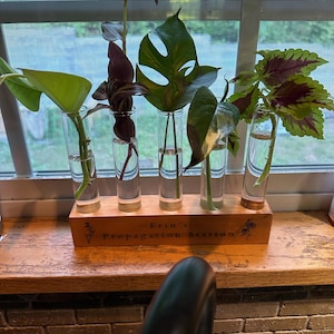 Susan added a photo of their purchase