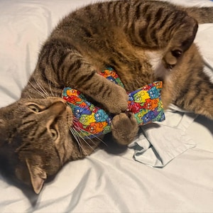 Jewell added a photo of their purchase