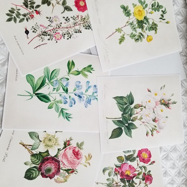 Vintage Roses Wall Art Prints (set of 6) - 8x10s | Botanical Decor - Etsy