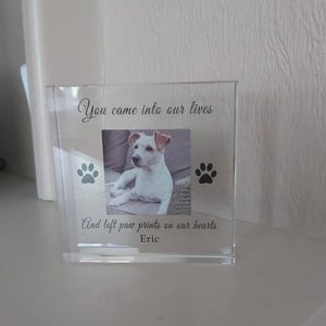 Lynne added a photo of their purchase