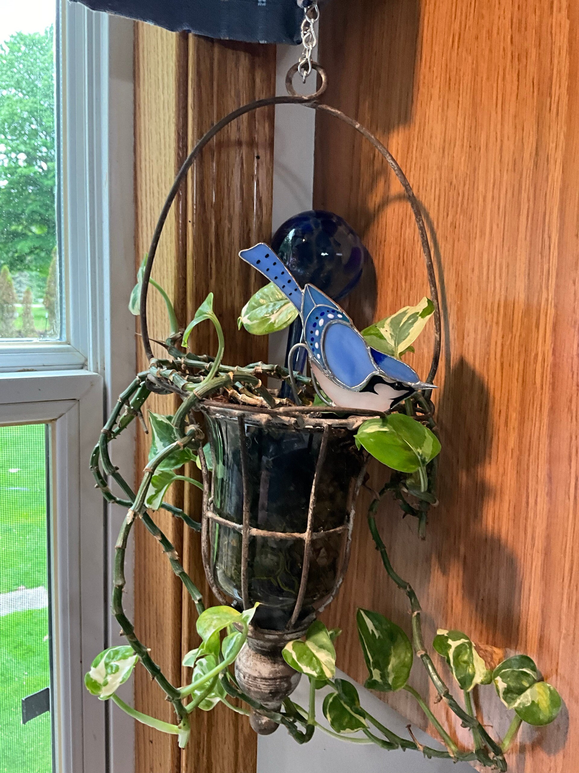 Stained glass Blue Jay Bird Suncatcher Stained glass planter decor 50th birthday gift for women Unique handmade gift Home Plant Dicoretion