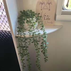 Rhea added a photo of their purchase