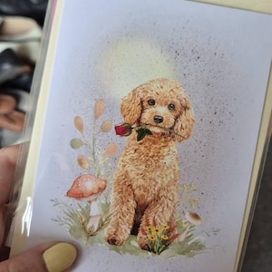 Emer a ajouté une photo de son achat