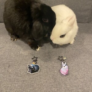 Sam さんが購入した商品の写真を追加しました