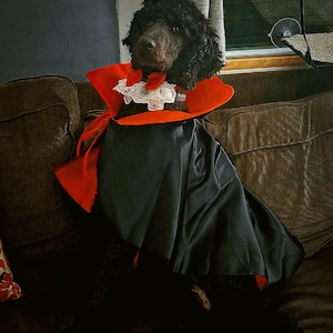 Costume Da Vampiro Per Cani E Gatti - Mantello Elegante Per Halloween - Foto 7